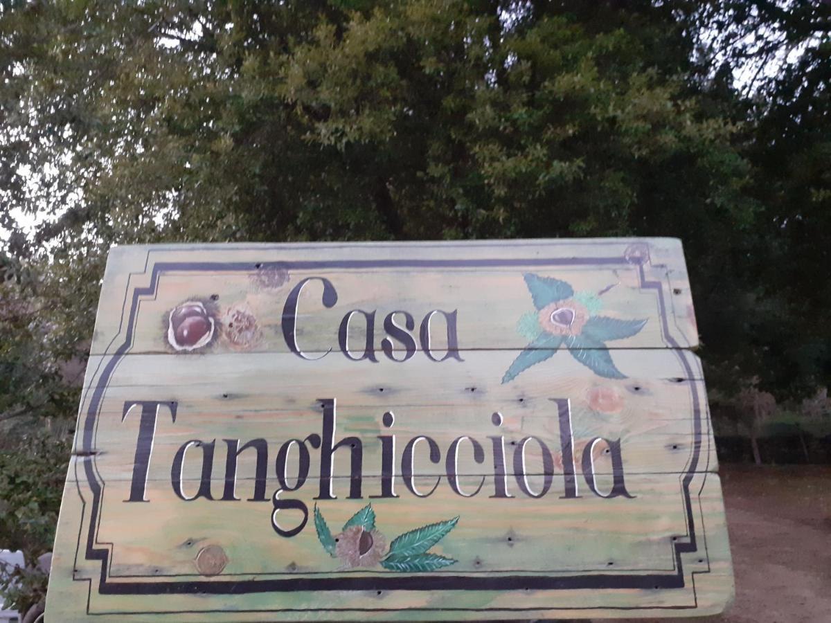 Casa Tanghicciola Apartment Levie ภายนอก รูปภาพ